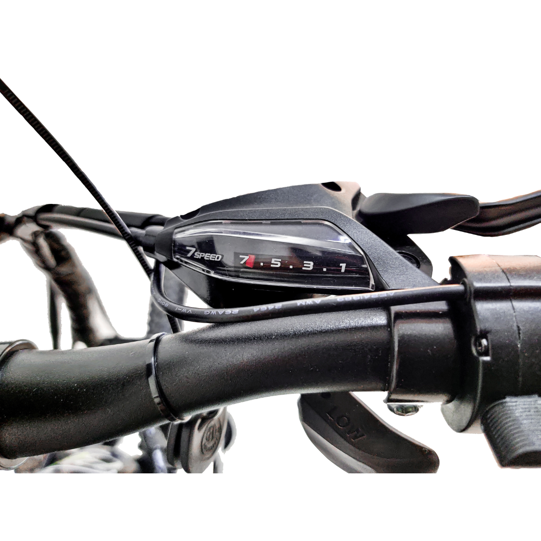 EBIKE MAXWELL DE MONTAÑA